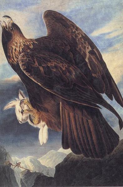 John James Audubon Golden Eagle Sweden oil painting art